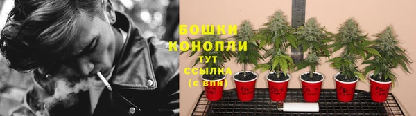 ECSTASY Абаза