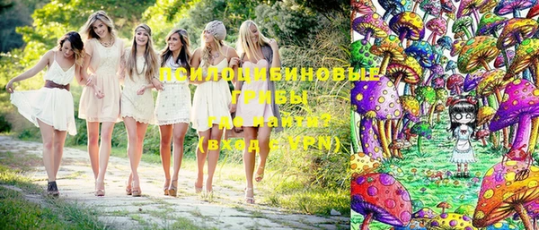 ECSTASY Абаза