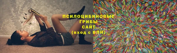 ECSTASY Абаза