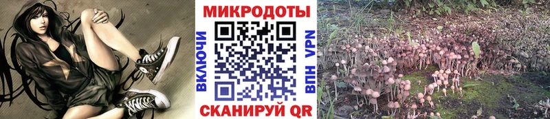Псилоцибиновые грибы Psilocybe  гидра   Мостовской 